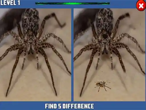 Game: Araña Diferencia Oculta