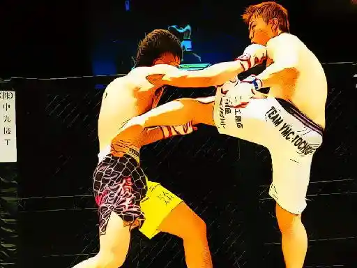 Game: Partido de lucha de UFC Jigsaw