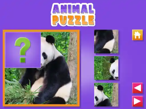 Game: Rompecabezas de animales