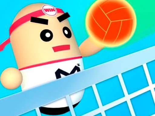 Play: 3D Amazing VolleyBall Img
