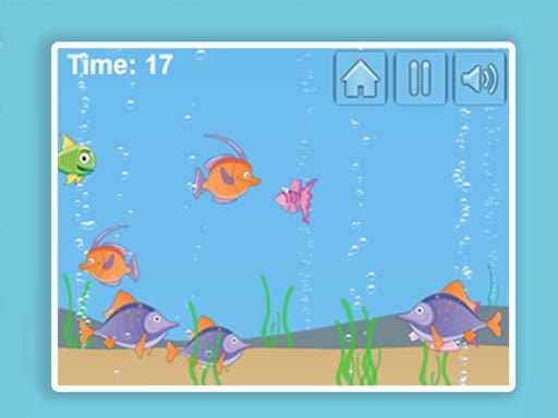 Play: Aqua Challenge Img