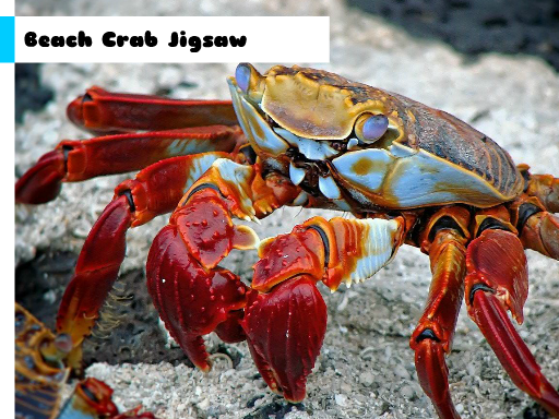 Play: Beach Crab Jigsaw Img