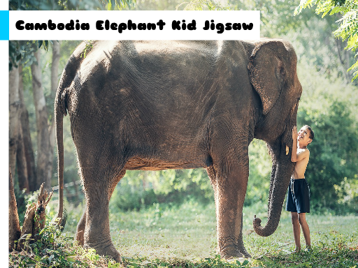 Play: Cambodia Elephant Kid Jigsaw Img