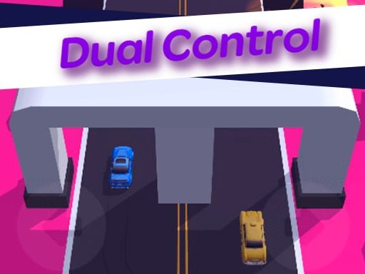 Play: Dual Control 3D Img
