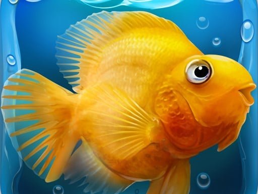 Play: Fish tank Aquarium Img