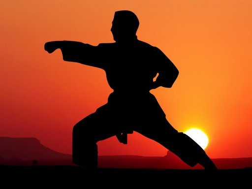 Play: Karate Sunset Warriors Img
