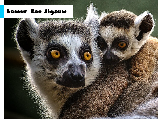 Play: Lemur Zoo Jigsaw Img