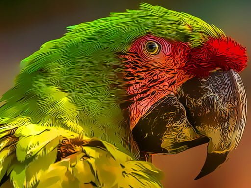 Play: Parrot Bird Puzzle Img