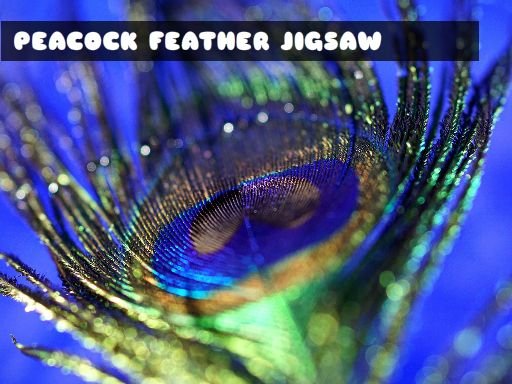 Play: Peacock Feather Jigsaw Img