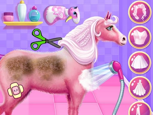 Play: Princess Horse Caring Img