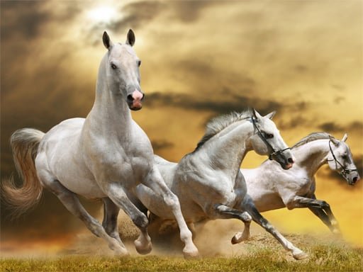 Play: Running Horse Slide Img