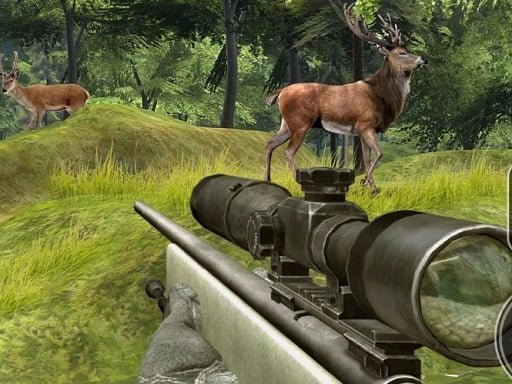 Play: Sniper Hunting Deadly Animal Img