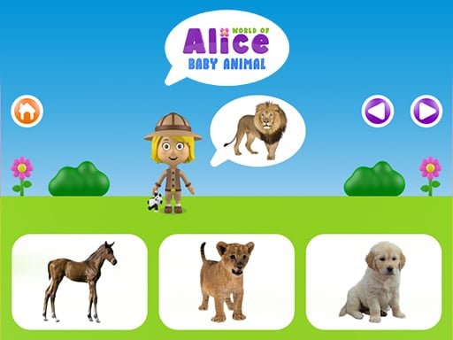 Play: World of Alice  Baby animal Img